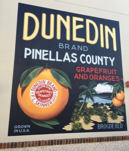 Dunedin Brand Oranges